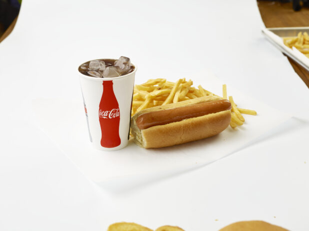 Plain Hot Dog Combo with French Fries and a Fountain Soda in a Paper Cup with Ice Cubes, on a White Background for Isolation