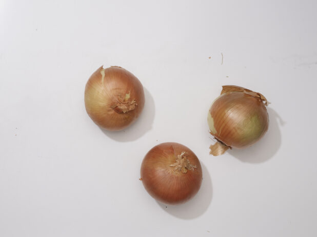 Overhead View of Whole Spanish Onions with Skin On, on a White Background for Isolation