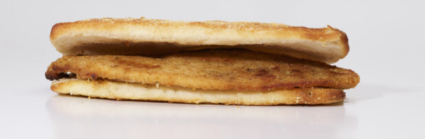 A Plain Italian Cutlet Sandwich on Ciabatta Bread, on a White Background for Isolation