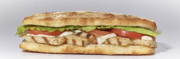 An Italian Sandwich with Grilled Chicken, Lettuce, Tomato and Mayo on Ciabatta Bread, on a White Background for Isolation