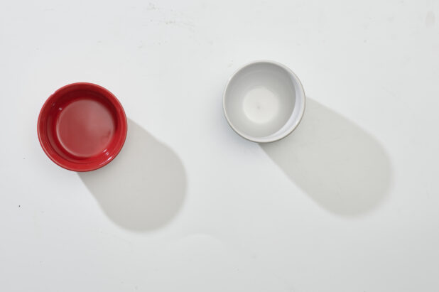 Overhead View of Red and White Round Ceramic Dishes, on a White Background for Isolation