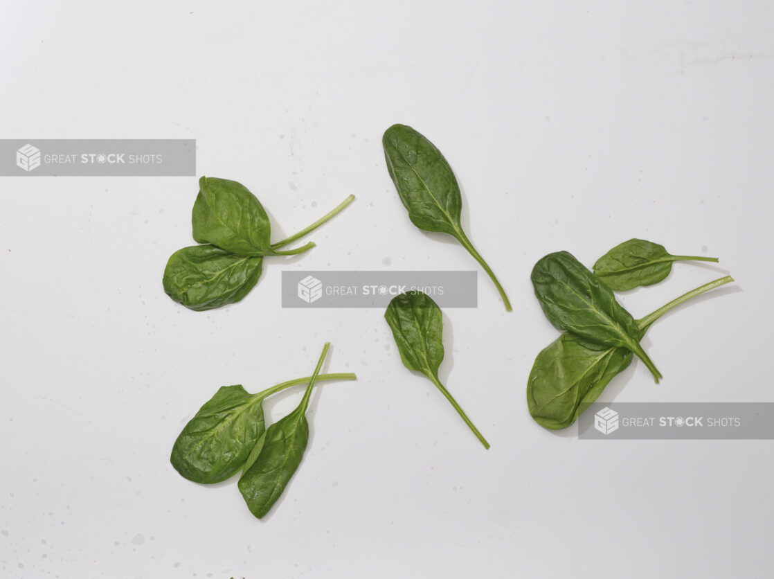 Overhead View of a Fresh Spinach Leaves, on a White Background for Isolation