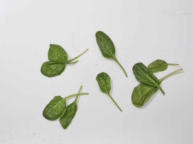 Overhead View of a Fresh Spinach Leaves, on a White Background for Isolation