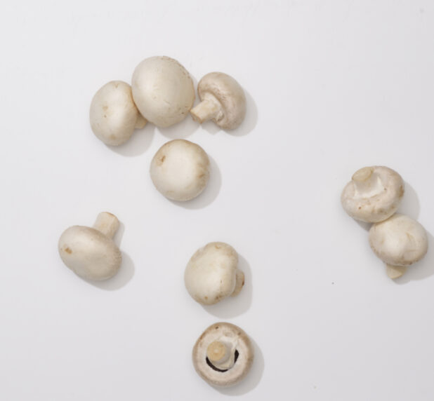Overhead View of a Cluster of Whole White Mushrooms, on a White Background for Isolation