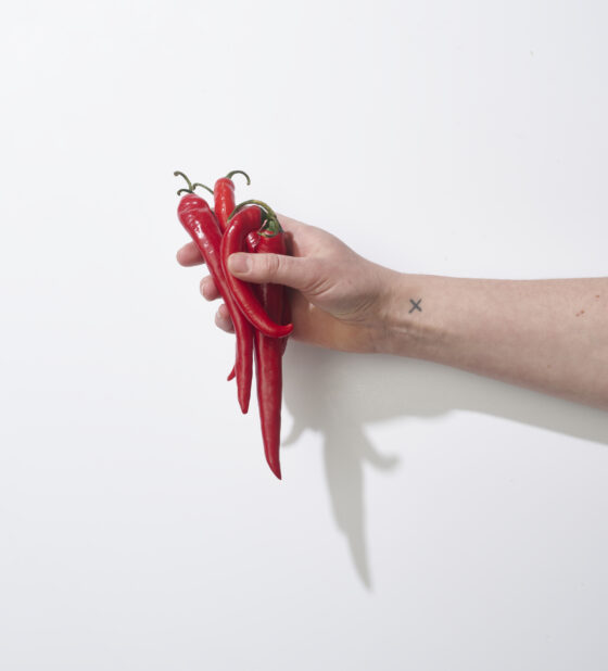 Hand holding red chili peppers on a white background