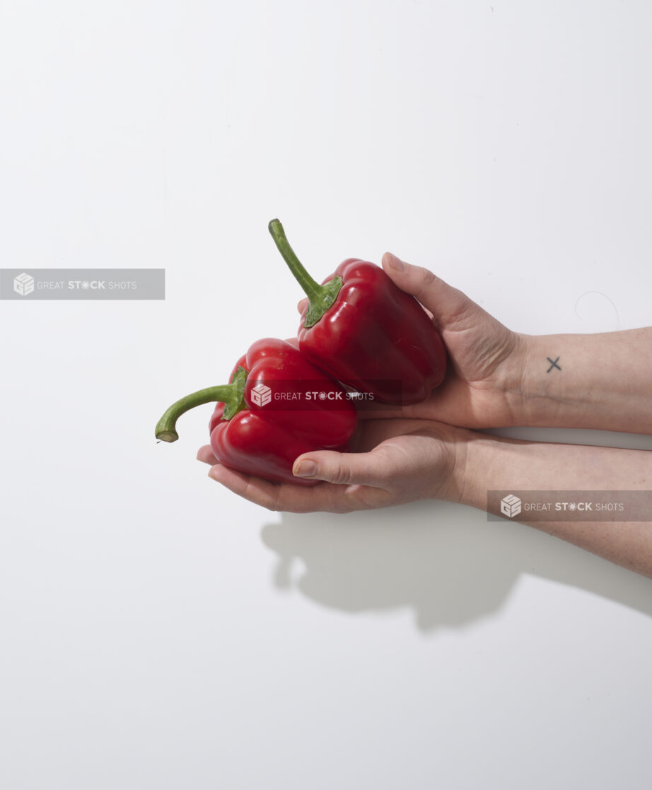 Hands holding fresh red bell peppers on a white background