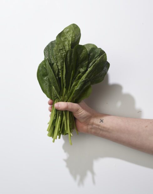 Hand holding a bunch of fresh spinach on a white background