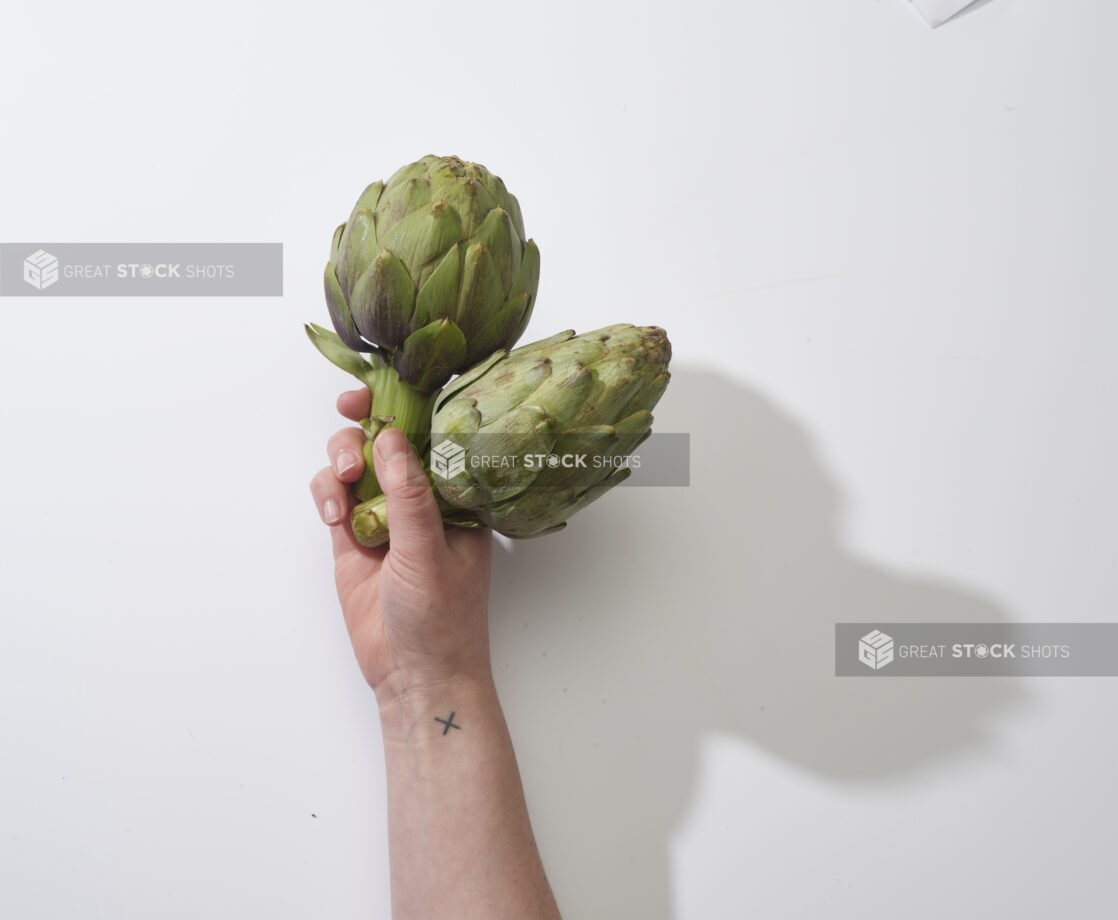 Hand holding fresh artichokes on a white background