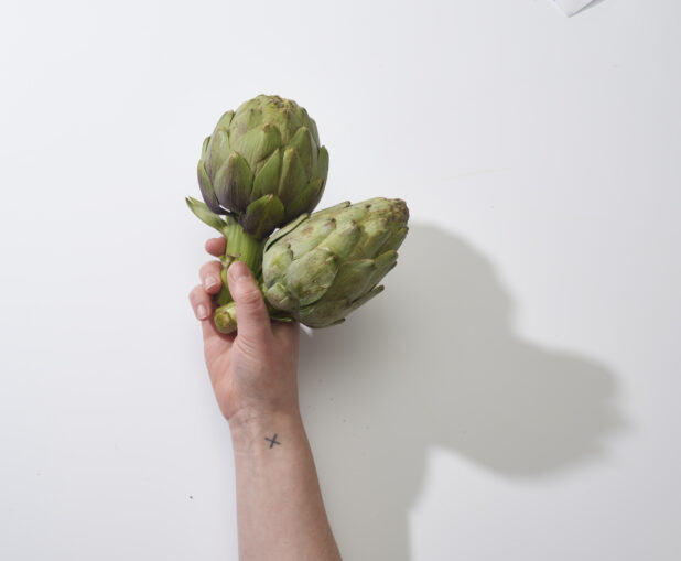 Hand holding fresh artichokes on a white background