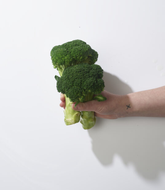 Hand holding fresh broccoli on a white background