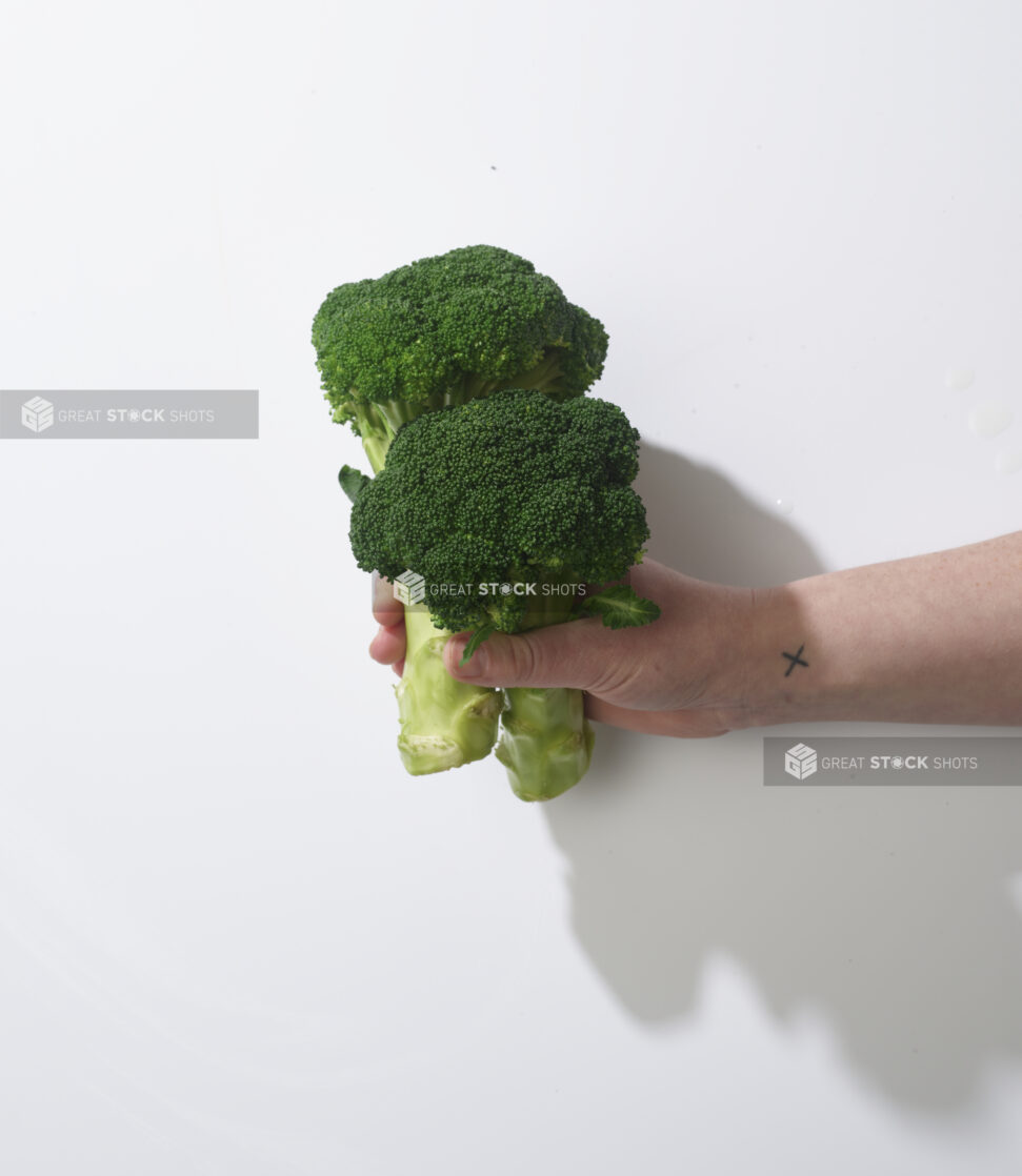 Hand holding fresh broccoli on a white background