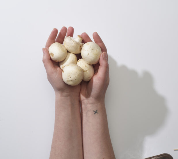 Hand holding fresh White mushrooms on a white background