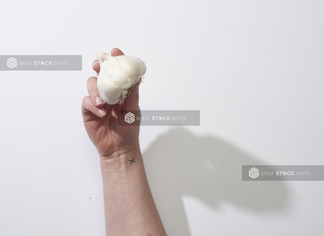 Hand holding a whole bulb of garlic on a white background