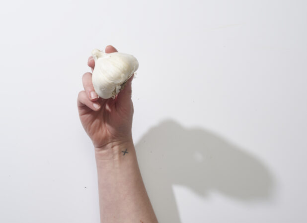 Hand holding a whole bulb of garlic on a white background