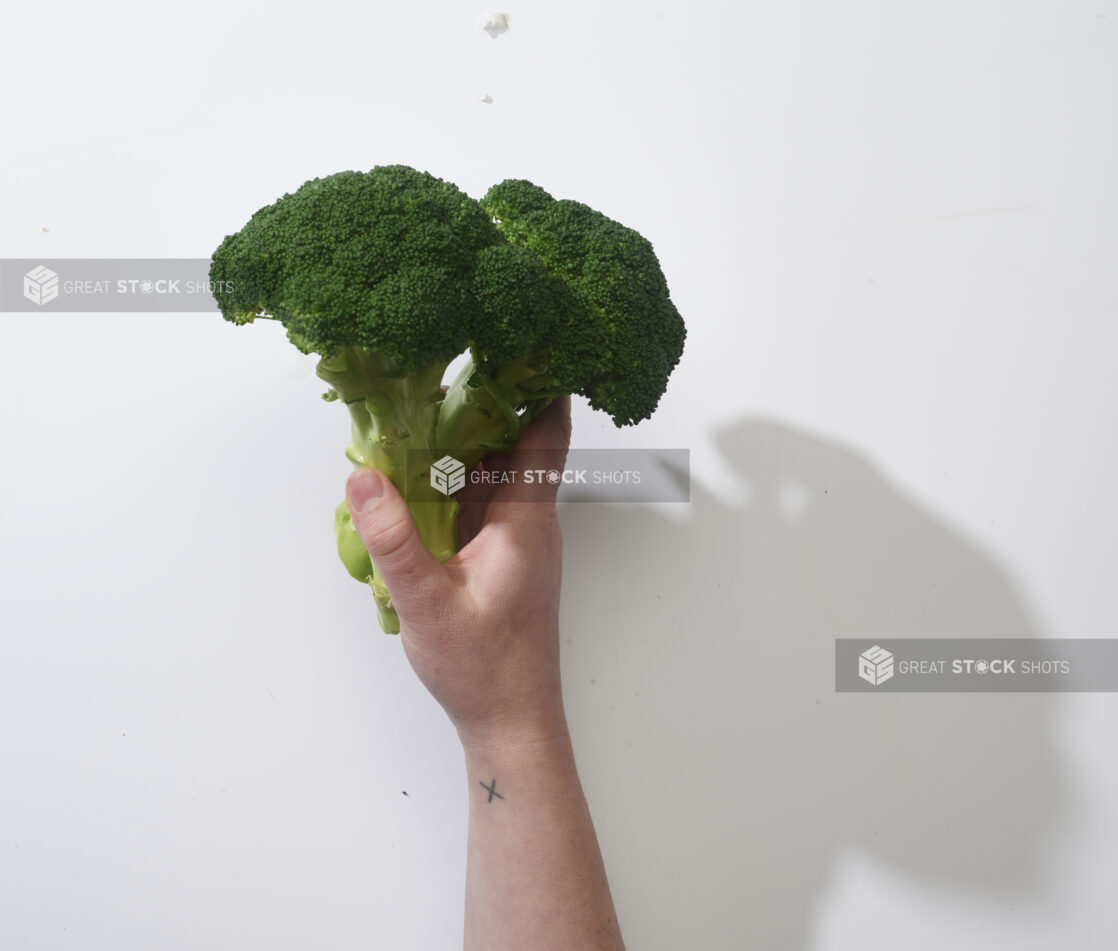 Hand holding fresh broccoli on a white background