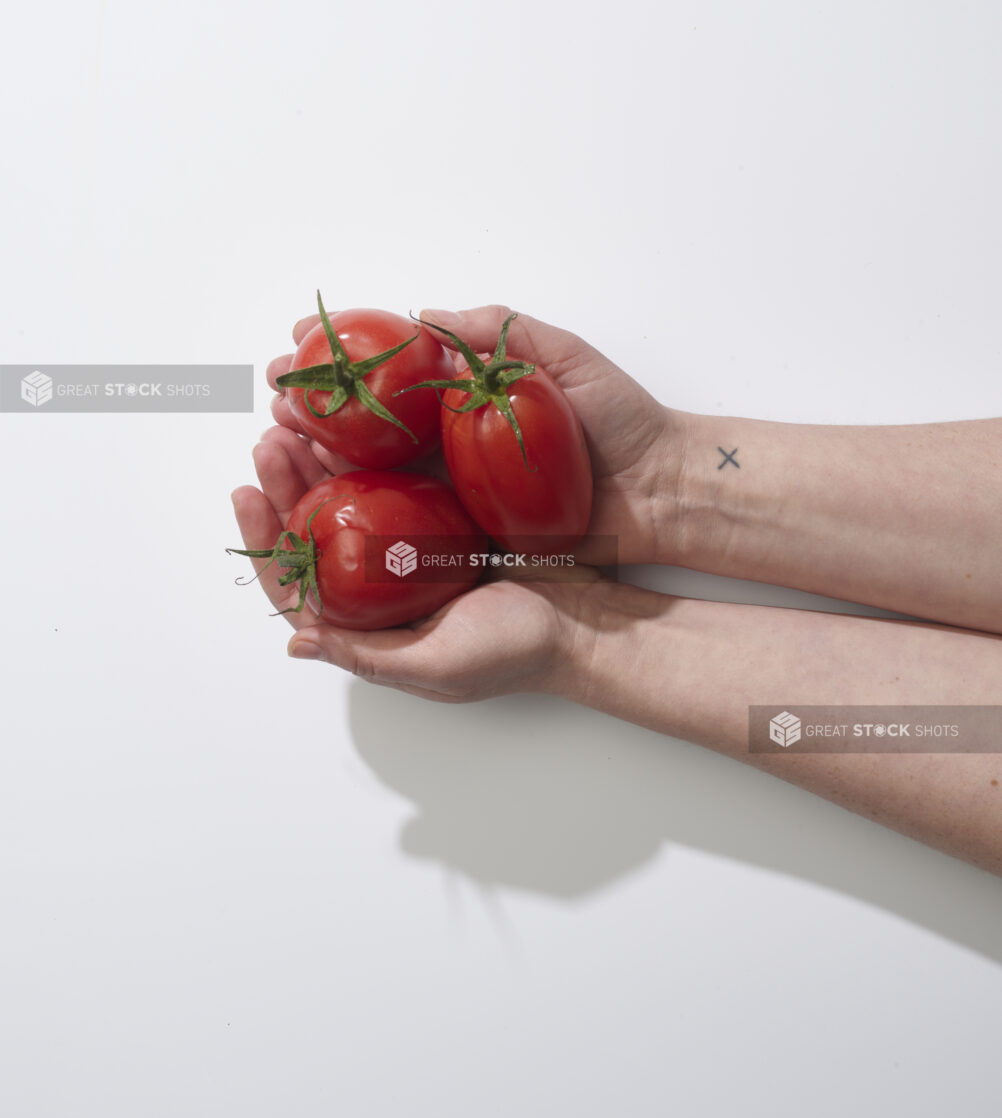 Two hands cradling three fresh Roma tomatoes on a white background