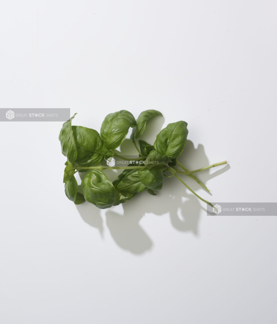 Sprigs of fresh whole basil leaf on a white background