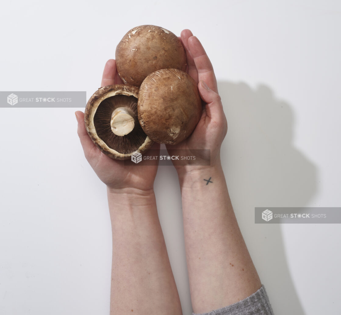 Hand holding fresh portobello mushrooms on a white background