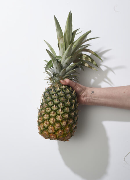 Hand holding a whole pineapple on a white background