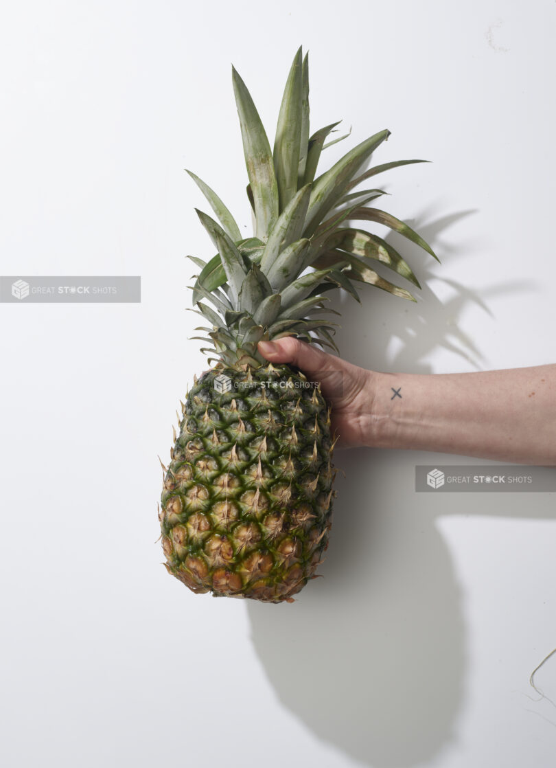 Hand holding a whole pineapple on a white background