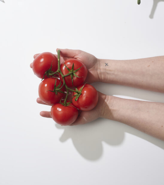 Hands holding fresh tomatoes on the vine