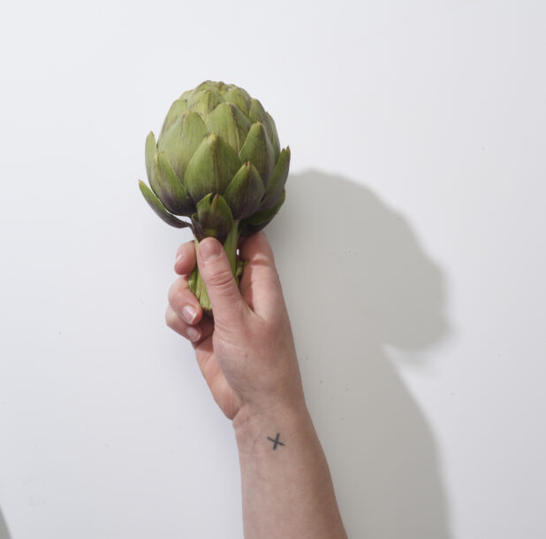 Hand holding a whole artichoke on a white background