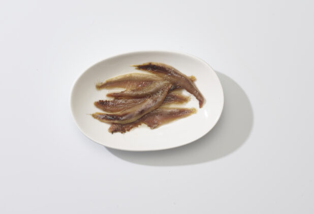 A white plate of anchovies on a white background