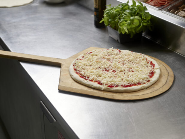 An uncooked small cheese pizza on a pizza peel in a commercial kitchen