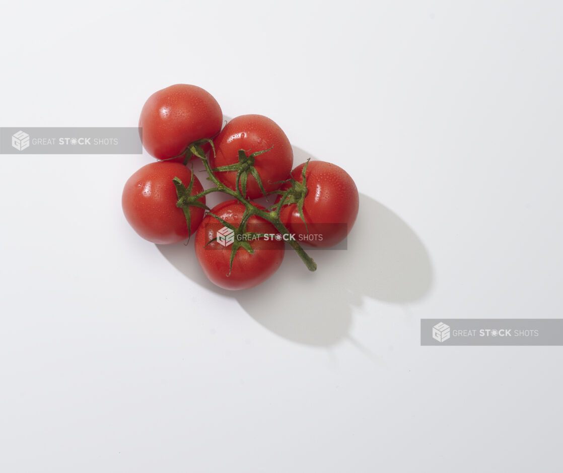 Fresh tomatoes on the vine on a white background