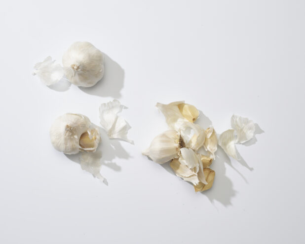 Bulbs and cloves of garlic on a white background
