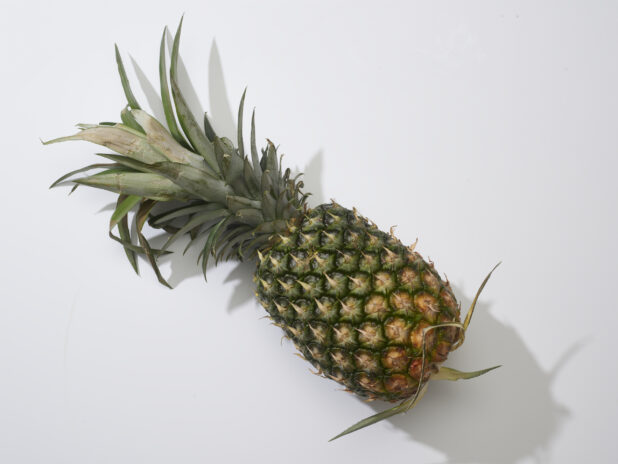 A fresh whole pineapple on a white background