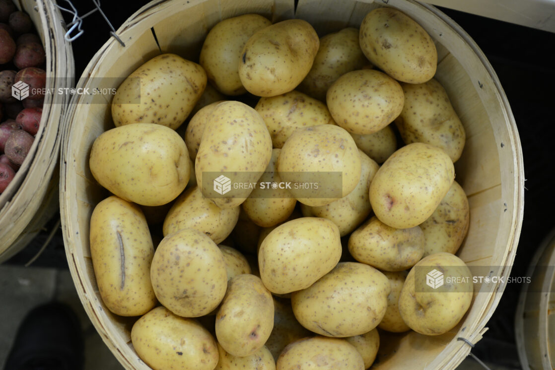 Whole yellow potatoes in a bushel basket, overhead view