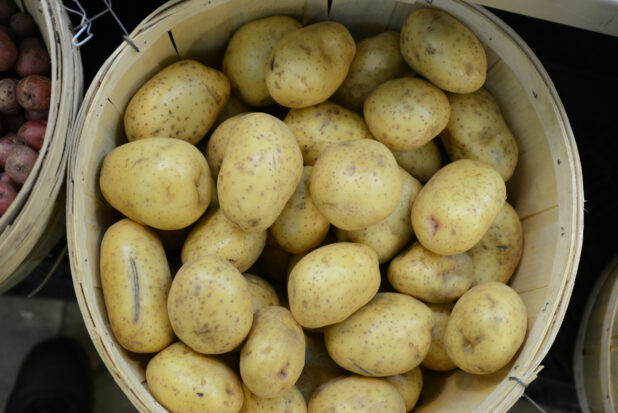 Whole yellow potatoes in a bushel basket, overhead view