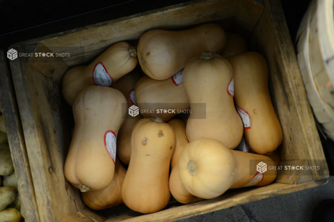 Whole uncooked butternut squash in a wooden crate