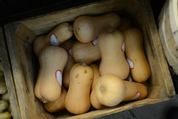 Whole uncooked butternut squash in a wooden crate