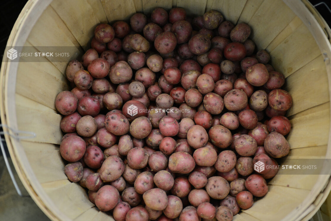 1/2 bushel of whole mini red potatoes