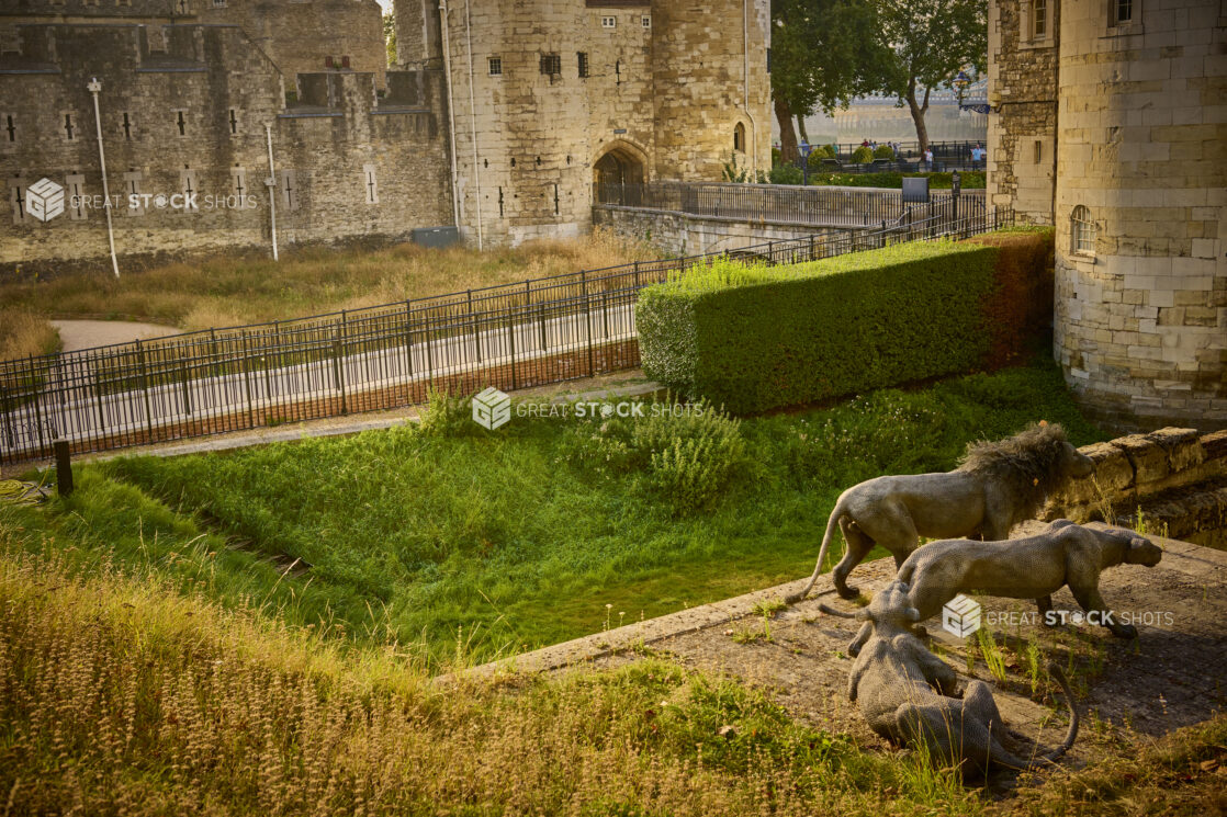 Hedge and Lion sculptures at the Tower of London