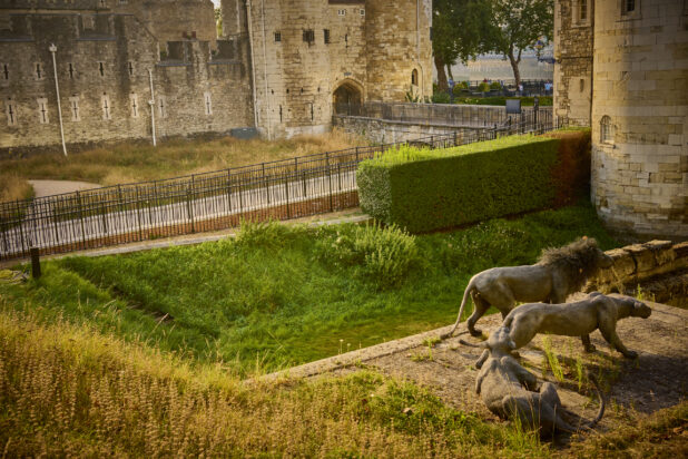 Hedge and Lion sculptures at the Tower of London