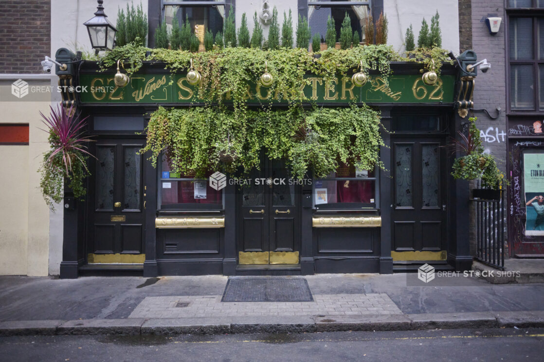 Bar, pub exterior, dark exterior with plants, ivy, street view, London, England, UK