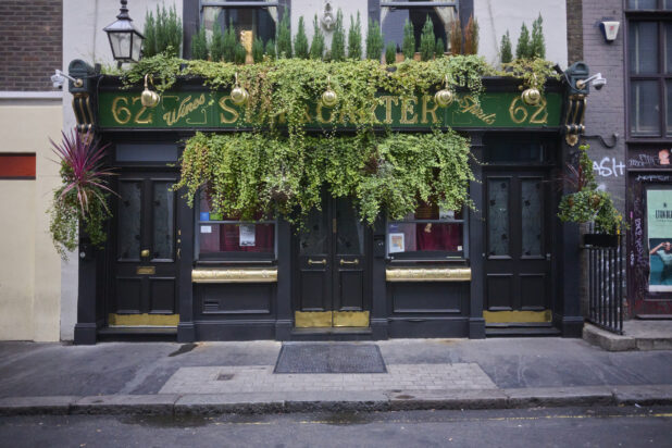 Bar, pub exterior, dark exterior with plants, ivy, street view, London, England, UK