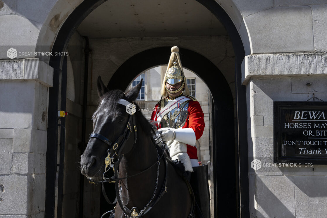 One of the Queens guards on a horse outside Buckingham Palace, London, England