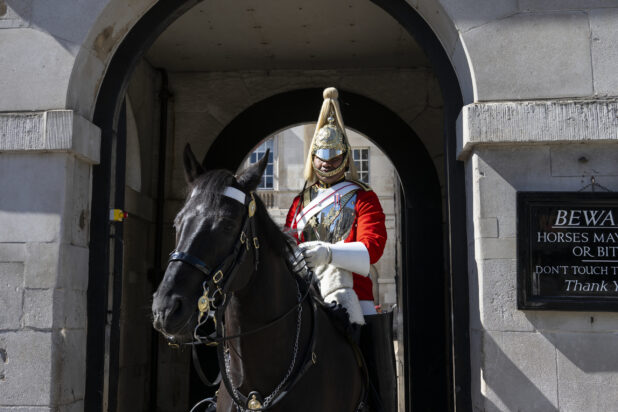 One of the Queens guards on a horse outside Buckingham Palace, London, England