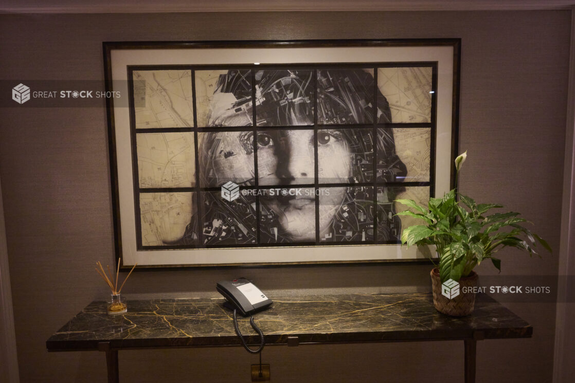 Hotel lobby table with telephone, plant, incense, picture above table