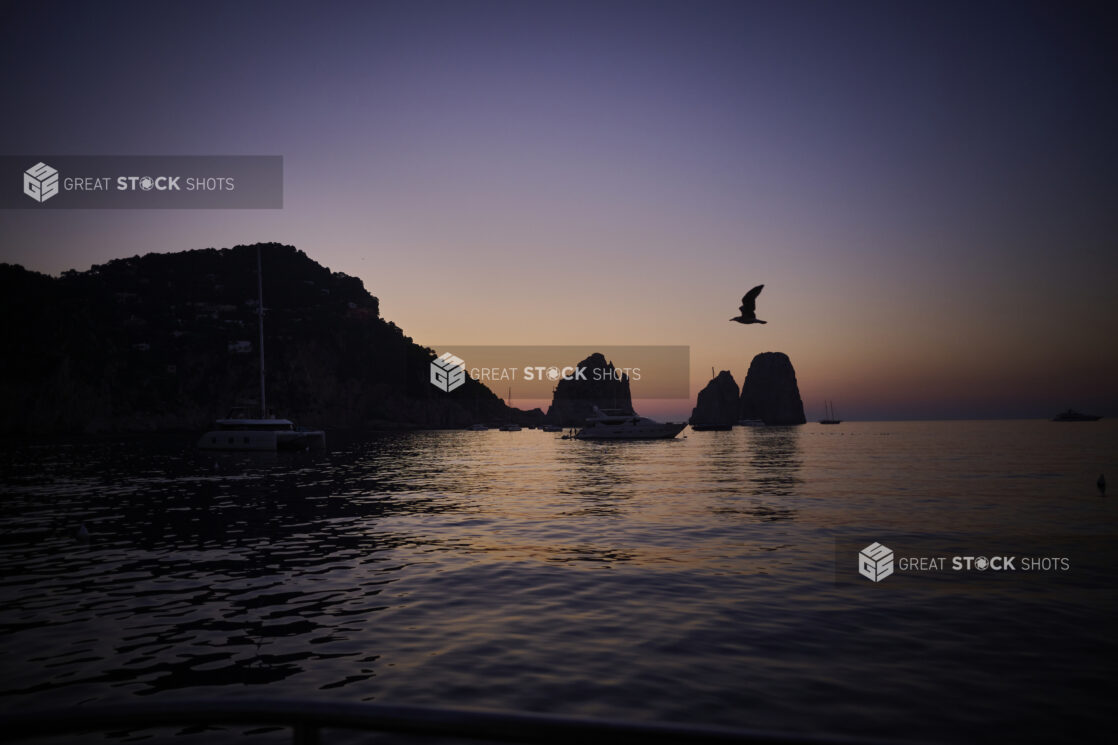 Sunset/dusk view of rock formations, hillside and a bird flying from the Mediterranean sea