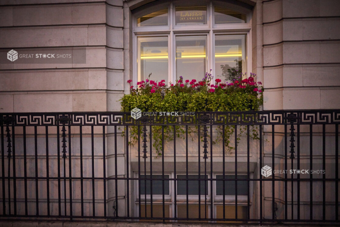 View of a window at Lanes of London with a window box of flowers and wrought iron fencing