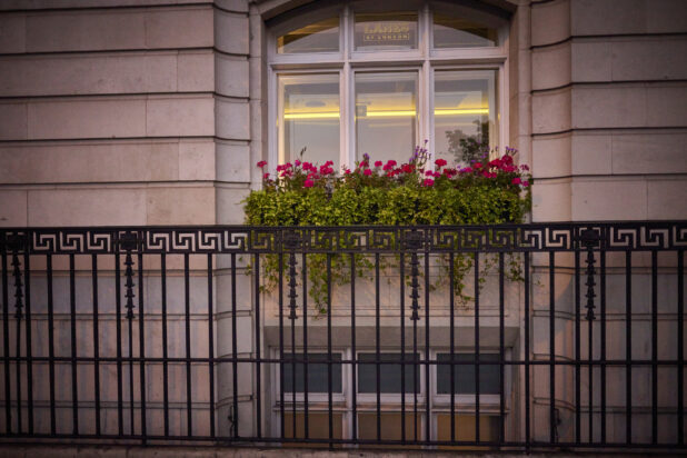 View of a window at Lanes of London with a window box of flowers and wrought iron fencing