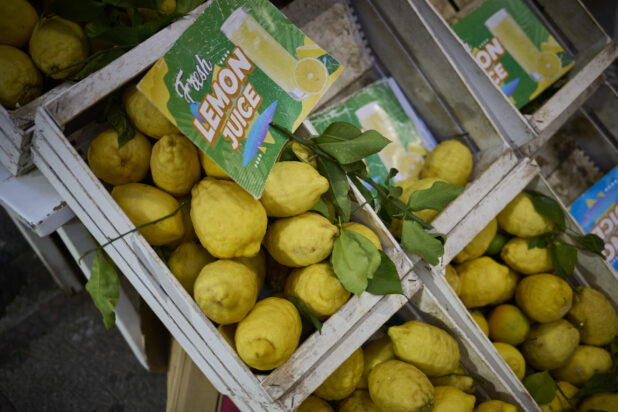 Overhead view of lemons in wooden crates