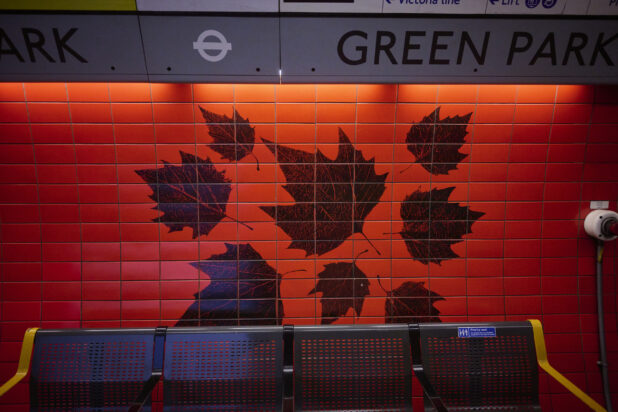 Maple leaf tiled pattern on wall, with seating in front at Green Park tube station London, England