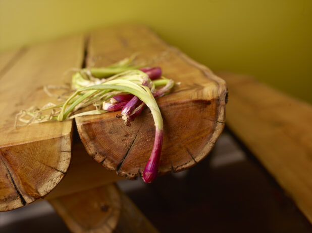 Whole Raw Green Onions with Red Bulbs on Wooden Table with Bokeh Effect