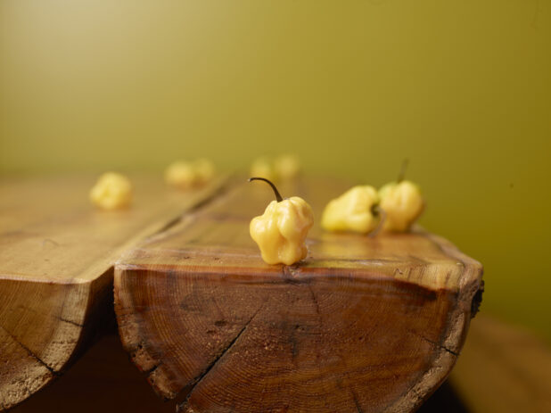 Whole Raw Yellow Scotch Bonnet Peppers on Wooden Table with Green Background and Bokeh Effect
